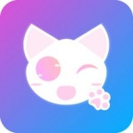 猫咪视频在线观看版 V1.0