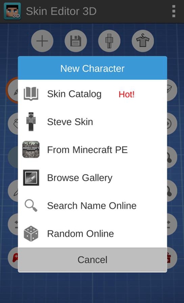 skin editor