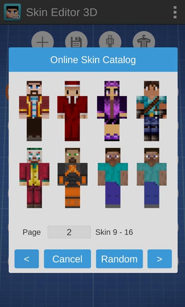 skin editor