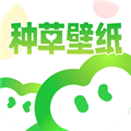 种草壁纸免费版 V1.0.0