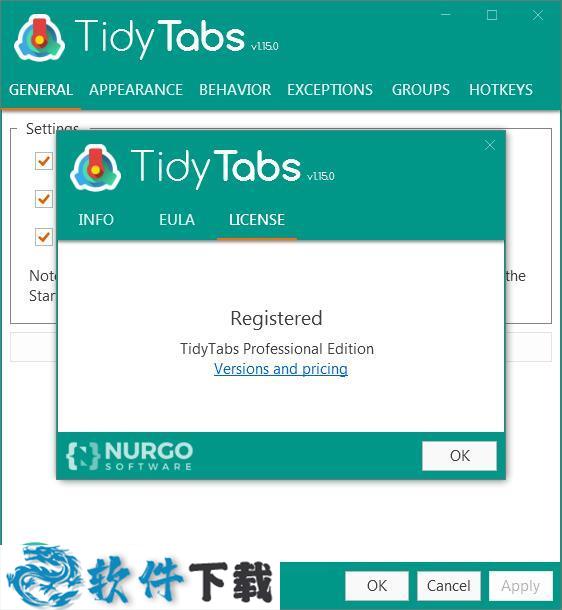 TidyTabs(桌面标签管理工具) v1.15 中文破解版