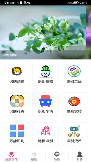 拍照识花神器app下载